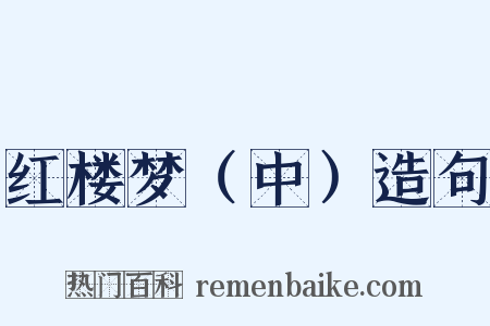 红楼梦（中）造句是什么意思的图片